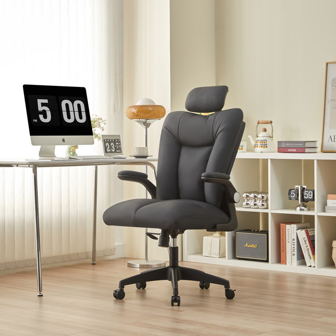 비애노 구르밍 컴퓨터 책상 의자, 블랙