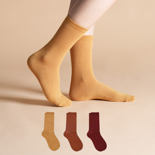 삭피엔스 여성용 프리미엄 롱롱 골지 장목 양말 3켤레 세트