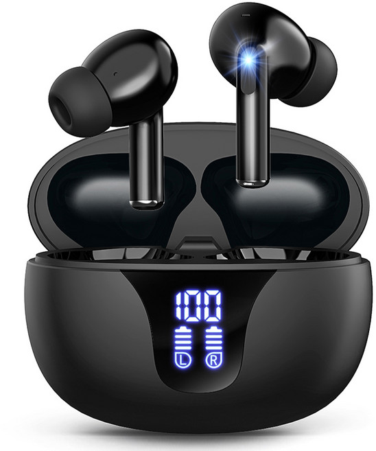 블라우풍트 Ai ENC 노이즈 캔슬링 LED 블루투스 5.4 커널형 이어폰, BLP-BE365K, 블랙