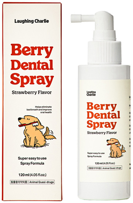 래핑찰리 베리덴탈 스프레이, 120ml, 1개