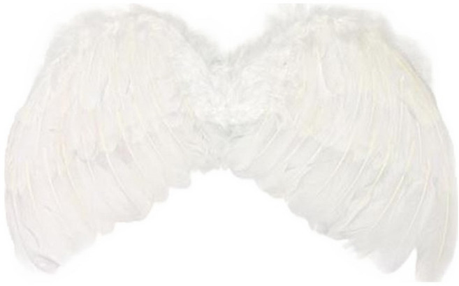 파티쇼 러블리 천사 날개, 화이트, 1개