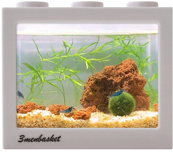 세남자바스켓 마리모와 새우키우기 블럭어항 세트, 흰색, 1세트