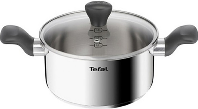 테팔 인덕션 스테인리스 스틸 이지쿡 양수냄비, 20cm, 실버, 1개