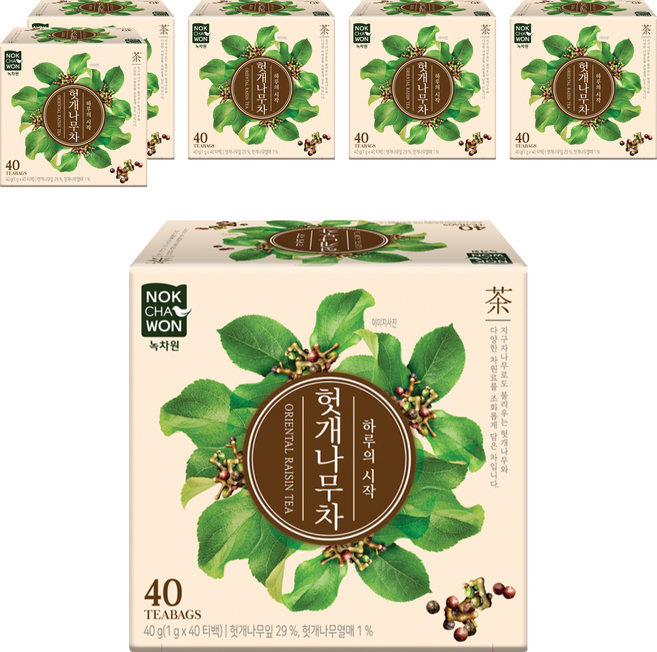 NOKCHAWON 綠茶園 枳椇子茶, 40入, 6個, 1g