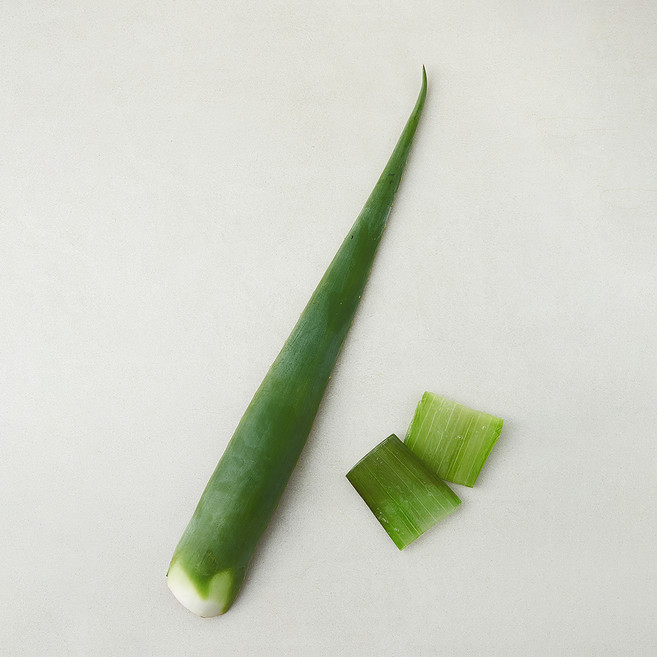 알로에 1개, 1봉