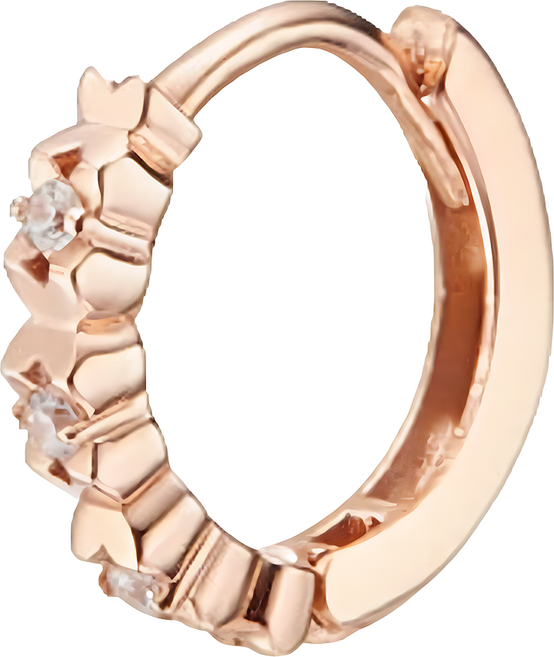 GOLDRIA 女款 14K 葉片鑲鑽耳環 + 購物袋