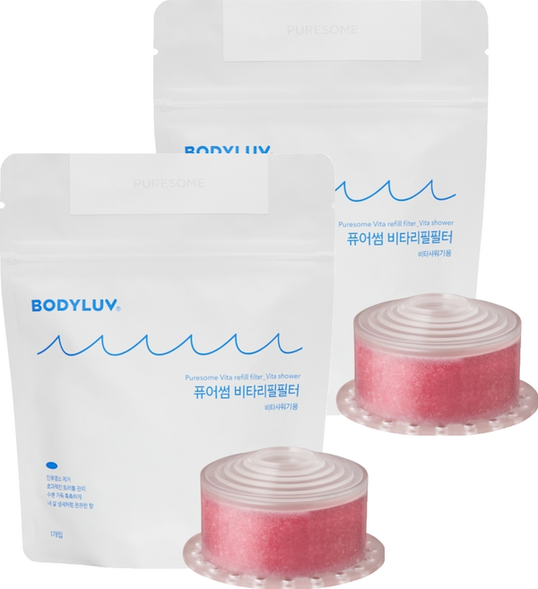 퓨어썸 비타 샤워기 리필필터, 2개, 플라워가든향