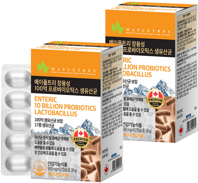 메이플트리 장용성 100억 프로바이오틱스 생유산균, 60정, 2개