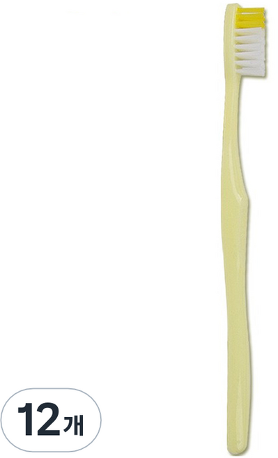 닥터365 프리미엄 일회용 칫솔, 100개입, 12개