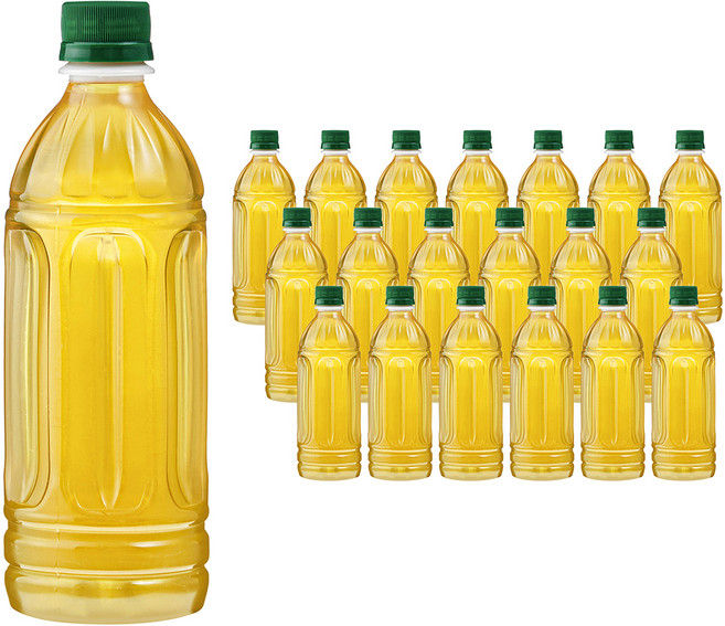 곰곰 깨끗한 보성 말차, 500ml, 20개