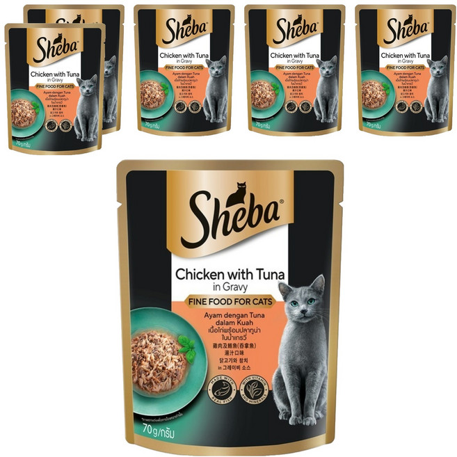 쉬바 1세 이상 고양이 간식 파우치, 닭+참치, 70g, 6개