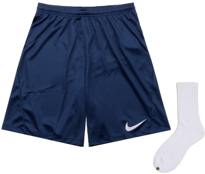 Nike 男款 Swoosh 短褲 BV6855-410 + Welldone 襪子