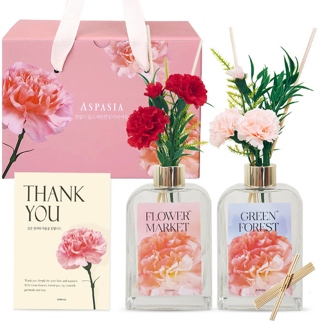 아스파시아 카네이션 디퓨저 2p 조화 부쉬 피치세트, 1세트, 양재꽃시장, 그린포레스트