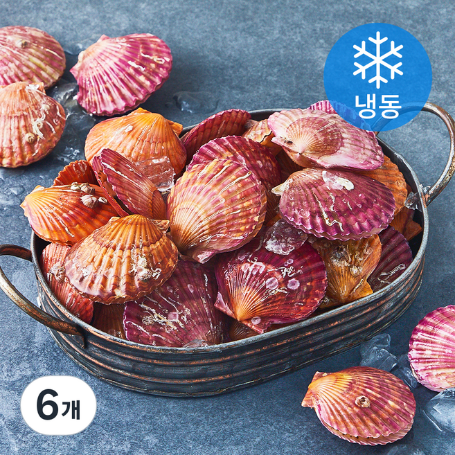 아라보감 홍가리비 (냉동), 6개, 2kg