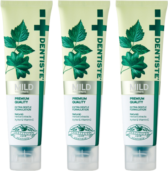 덴티스테 마일드 나이트타임 치약 튜브형, 100g, 3개