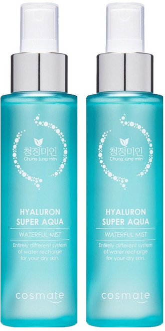 청정미인 히아루론 수퍼 아쿠아 워터풀 미스트, 120ml, 2개
