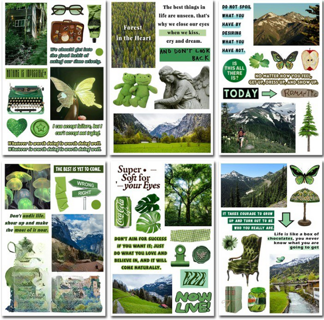 꼬까 다꾸 스티커 노르웨이숲 6종 세트, 혼합색상, 1세트