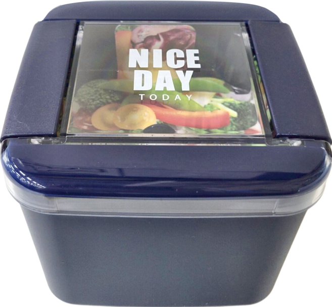 Lustroware 岩崎 B-1489 防油汙微波便當盒 610ml, 藍色, 1個