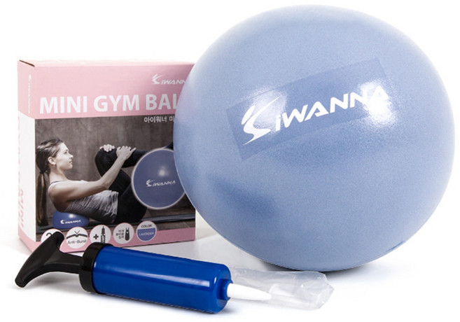 아이워너 미니 짐볼, 라벤더