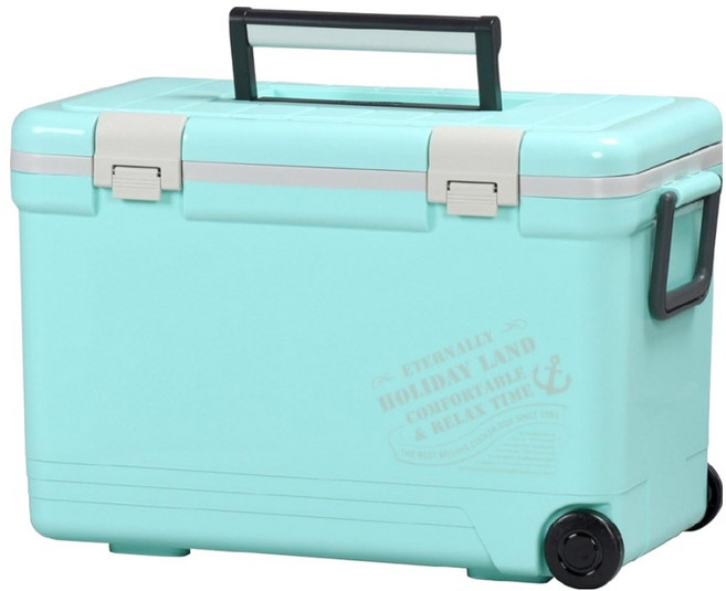 SHINWA 伸和 Holiday保冷冰箱 27L 一體成型設計 隔層厚實 不鏽鋼螺絲裝訂 特殊材質提手, 蒂芬妮綠