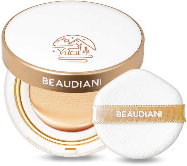 뷰디아니 메쉬 글로우 업 커버쿠션 12g, 내추럴커버데일리 1호, 1개