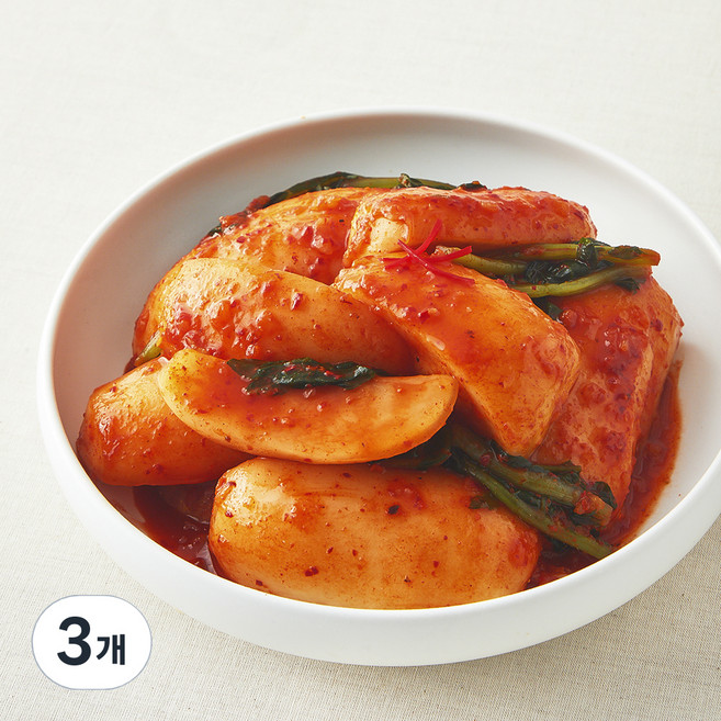 모산김치 갓담근 총각김치, 3개, 1kg