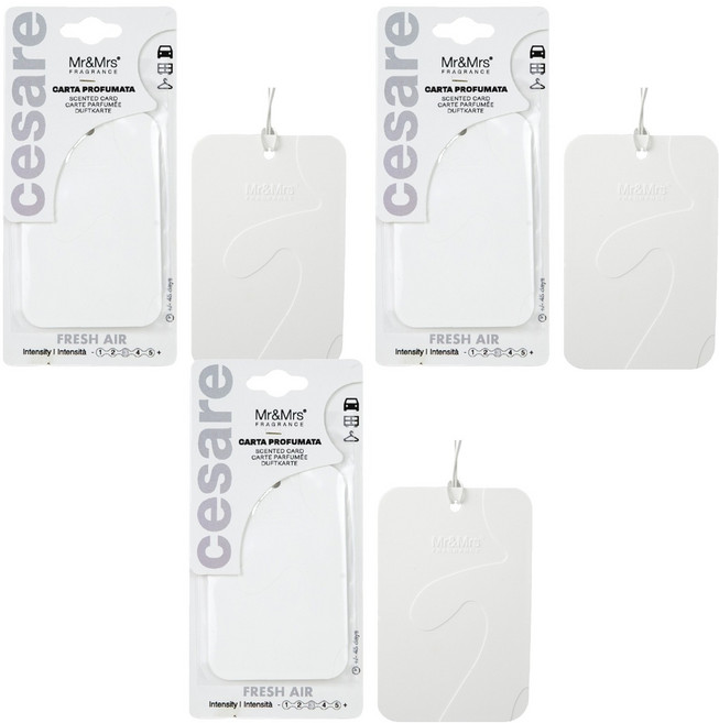 미스터앤미세스 체사레 카드형 멀티 차량용 방향제, 3개, 프레쉬에어