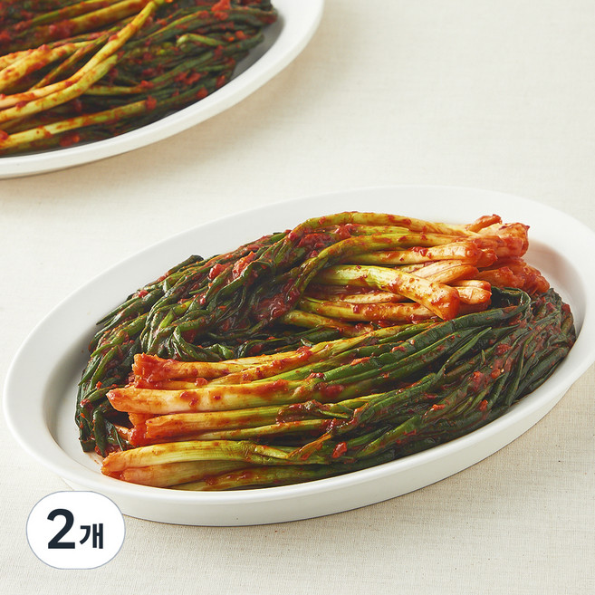 모산김치 갓담근 파김치, 1kg, 2개