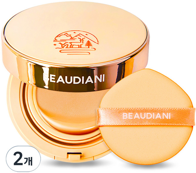 뷰디아니 메쉬 타이트 업 커버쿠션 12g, 2호, 2개