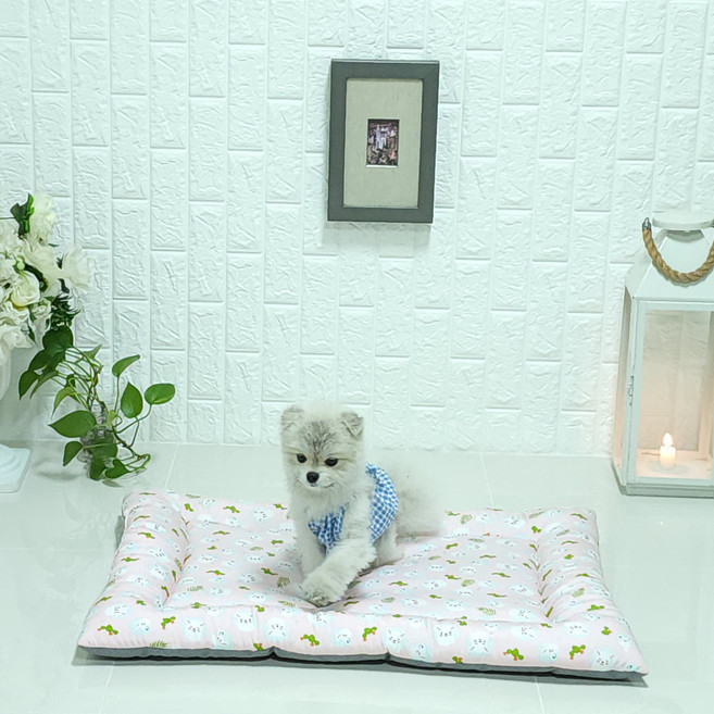 두기펫 반려동물 쿨 인견 매트, 라마핑크, 1개