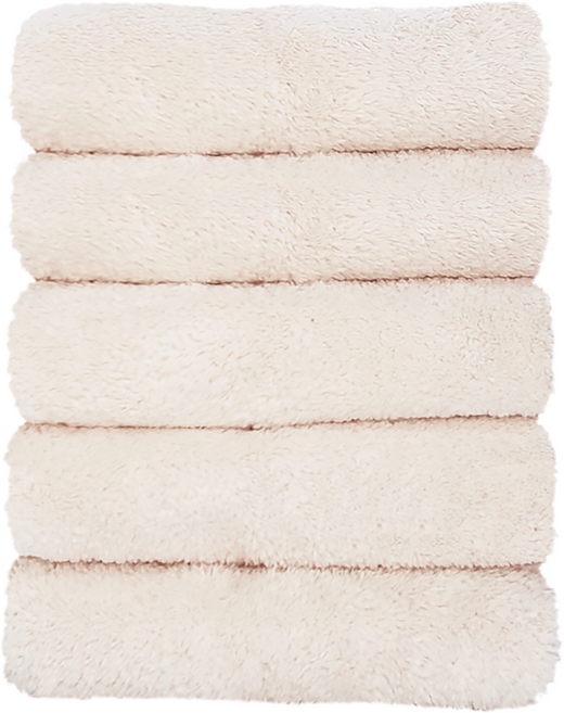 프라임타월 프리미엄 타월 120g 극세사, 베이지, 5개