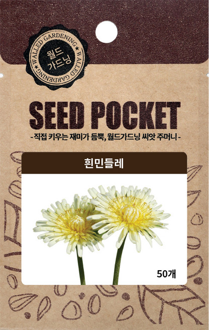 월드가드닝 정원 좋은 꽃 씨앗 야생화 흰민들레씨 50p, 1개