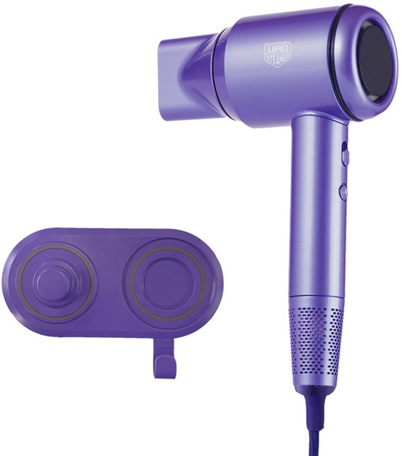 Eurosteamer Wind Pro BLDC 超輕量低噪音吹風機, 紫色, URO-2025BLP