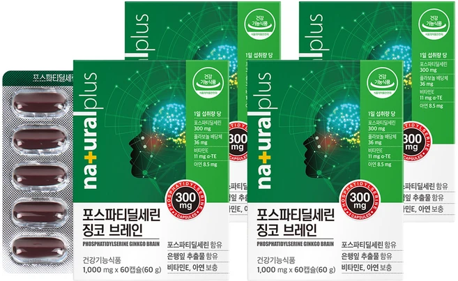 내츄럴플러스 포스파티딜세린 징코 브레인 60g, 60정, 4개 - 쿠팡