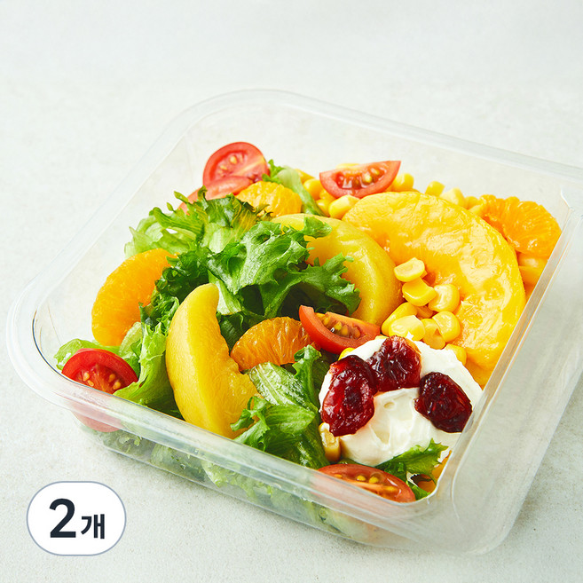 스윗밸런스 허니리코타치즈 후르츠 샐러드, 220g, 2개