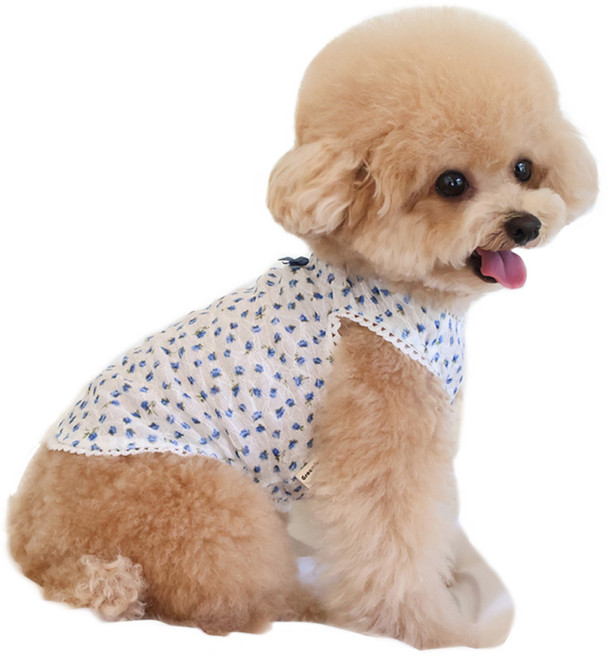 그루밍독 반려동물 안개꽃 나시 티셔츠, 블루, 1개