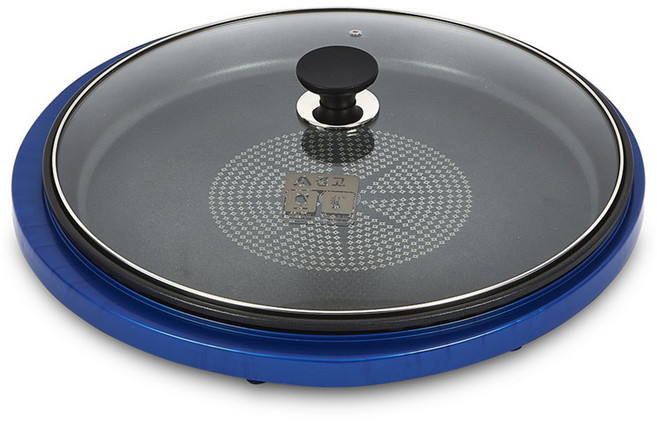 대원가전 원형 잔치 팬, DWP-1450