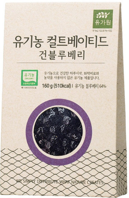 유가원 컬티베이티드 건블루베리, 160g, 1개
