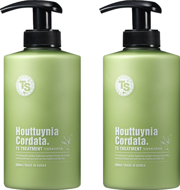 TS 어성초 탈모 트리트먼트, 2개, 500ml
