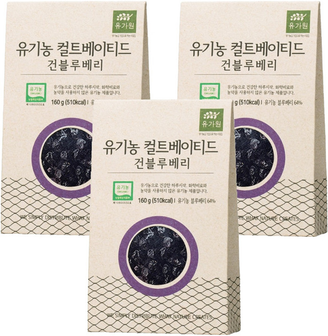 유가원 컬티베이티드 건블루베리, 160g, 3개