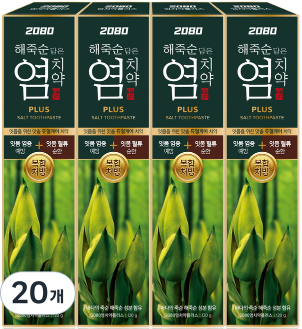 2080 플러스 염 치약, 120g, 20개