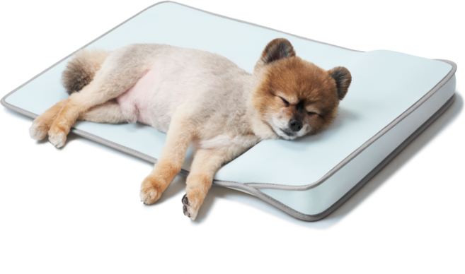 멍뭉스 반려동물 컴포트 에어쿨링 쿨매트, 혼합색상, 1개