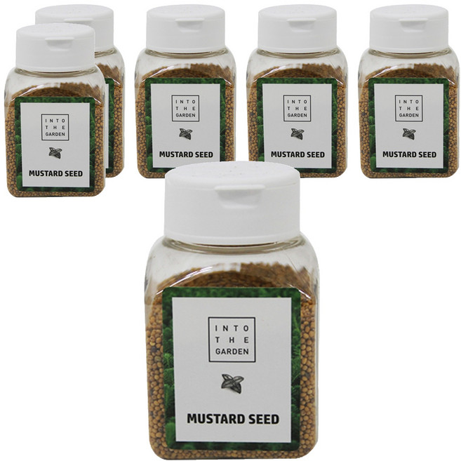 딜리셔스마켓 겨자씨, 80g, 6개