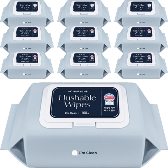 아임클린 저자극 비데 물티슈 캡형, 60g, 100매입, 10개