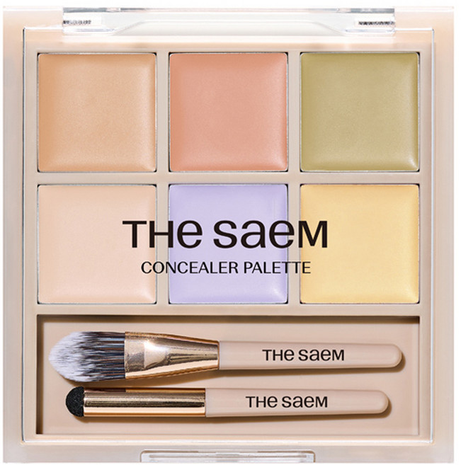 더샘 커버 퍼펙션 컨실러 팔레트 6g, 1개, 01 커버 앤 코렉트