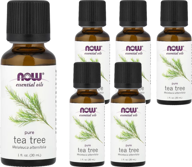 NOW Foods 100%茶樹精油, 30ml, 6瓶