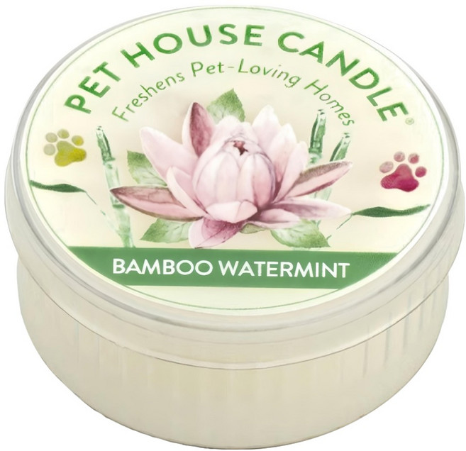 PET HOUSE 室內除臭寵物香氛蠟燭 青竹薄荷, 43g, 1罐