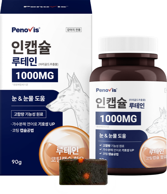 페노비스 강아지 인캡슐 영양제, 90g, 눈물개선/눈건강, 1개