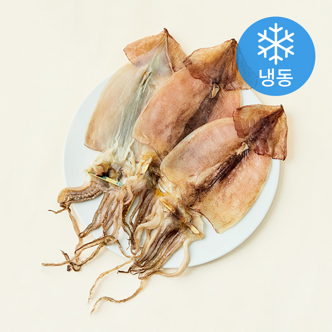 국내산 반건조 오징어 5미 (냉동), 400g, 1개