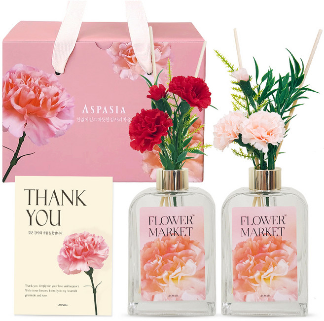 아스파시아 카네이션 디퓨저 2p 조화 부쉬 피치세트, 1세트, 양재꽃시장